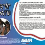 COMITÉ MIXTO DE SALUD Y SEGURIDAD.-