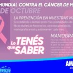 19 DE OCTUBRE: DÍA INTERNACIONAL DE LUCHA CONTRA EL CÁNCER DE MAMA.-